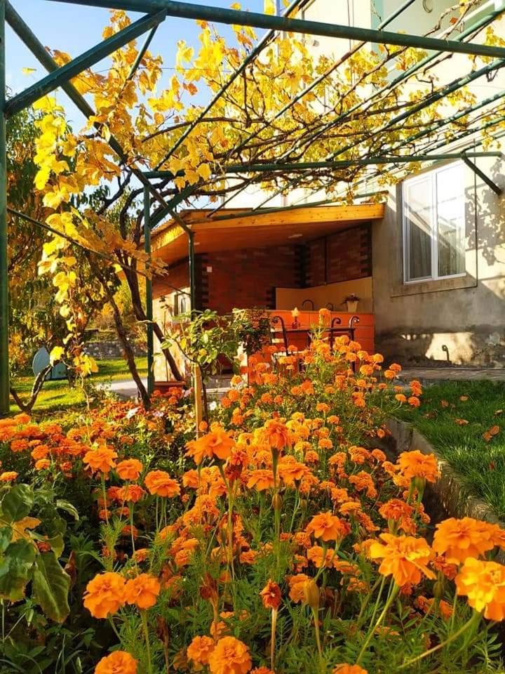Nataly Campsite Yeghegnadzor Exterior photo